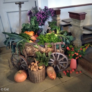 Feldfrüchte im Leiterwagen